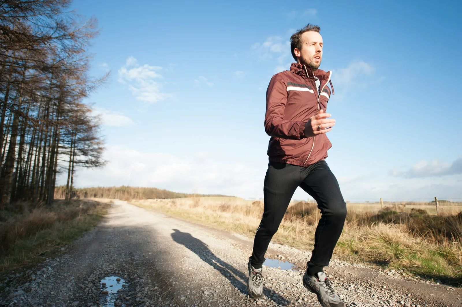 Mobility Chiro Therapy