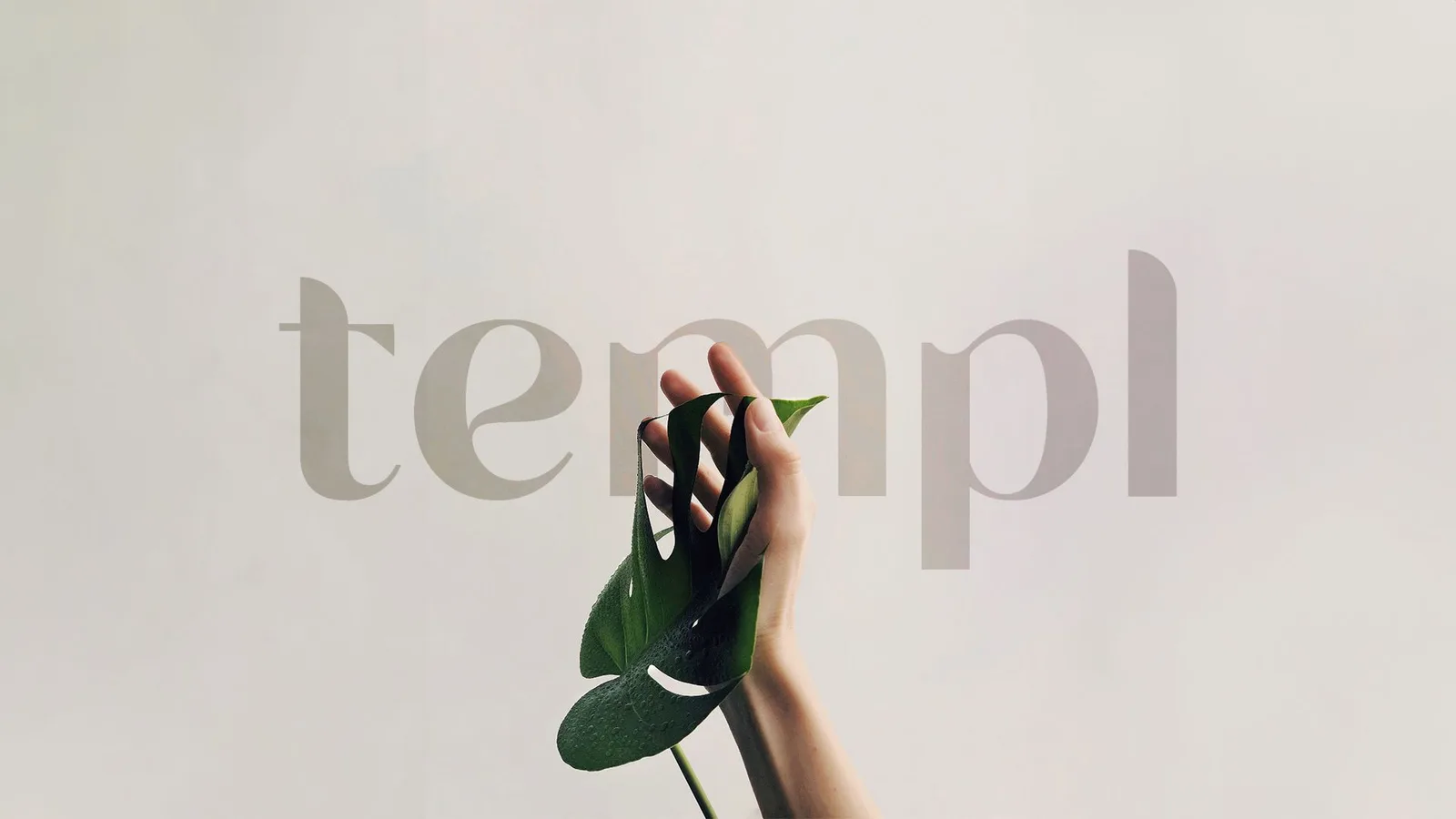 Templ Wellness